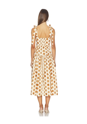 Cara Cara Faiza Dress in Cream,Brown. Size 0. Also in 4, 6, 8.