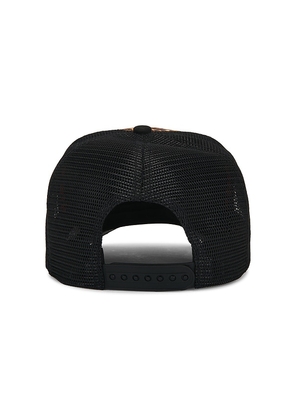 Boys Lie He's A Cheetah Trucker Hat in Black.