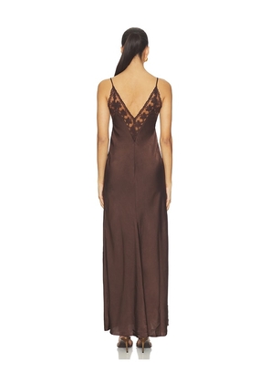 Bardot Bonita Lace Trim Maxi Dress in Chocolate. Size 2. Also in 4, 6, 8, 10.