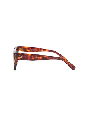 AIRE Transit Sunglasses in Brown.