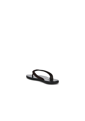 BLACK SUEDE STUDIO Bae Sandal in Chocolate. Size 38. Also in 36, 37, 37.5, 38.5, 41.