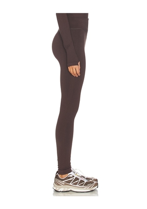 CORDOVA Vail Bottom in Chocolate. Size M/L. Also in XS/S.