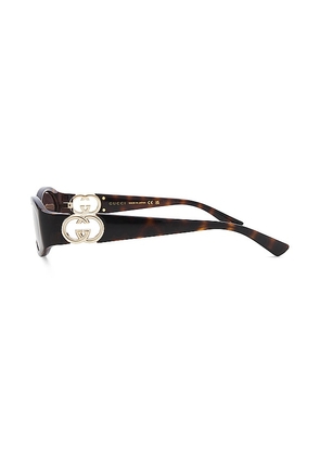 Gucci Hailey Oval Sunglasses in Brown.
