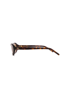 Chimi Aria Sunglasses in Brown.