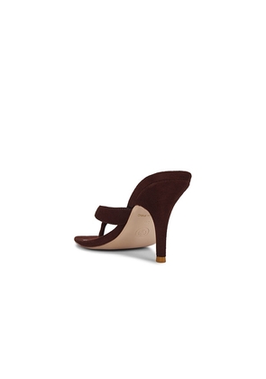 FEMME LA Tokyo Thong Sandal in Brown. Size 11. Also in 6, 7, 8.