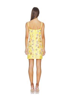 LA FUORI Golden Hour Lily Mini Dress in Yellow. Size L. Also in M, XL.