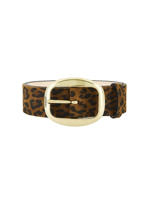 Isabel Marant Dara Belt in Brown. Size 80. Also in 70.