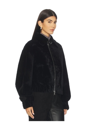 Helmut Lang Shearling Bomber in Black. Size XS. Also in S, M.