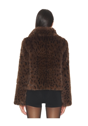Generation Love Lexy Leopard Faux Fur Jacket in Brown. Size S. Also in XS, M, L, XL.