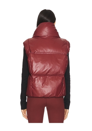 Goldbergh Balou Bodywarmer in Burgundy. Size 36/4. Also in 34/2, 38/6, 40/8, 42/10.