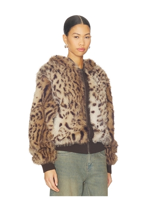 Jaded London Bear Faux Fur Jacket in Brown. Size S. Also in M.