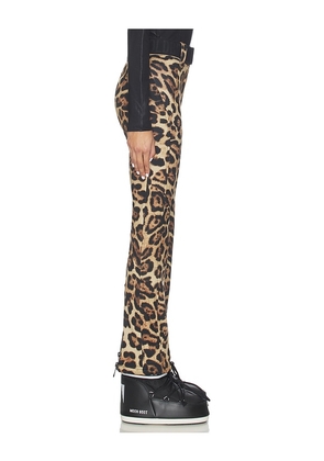 Goldbergh Minou Ski Pant in Brown. Size 34. Also in 32, 36, 38, 40, 42.