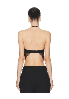 HAELO Collage Lace Bra in Black. Size L. Also in XS.
