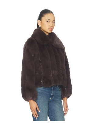 HEARTLOOM Lana Jacket in Brown. Size M. Also in XS, S, L, XL.