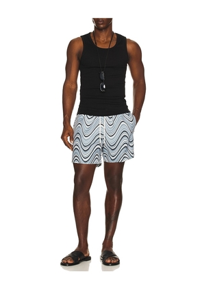Frescobol Carioca Rio Fibra Print Swim Short in Baby Blue. Size S. Also in M, XL/1X.