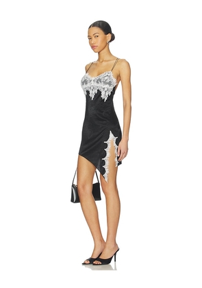 I.AM.GIA Zarina Dress in Black,White. Size M. Also in S, L.