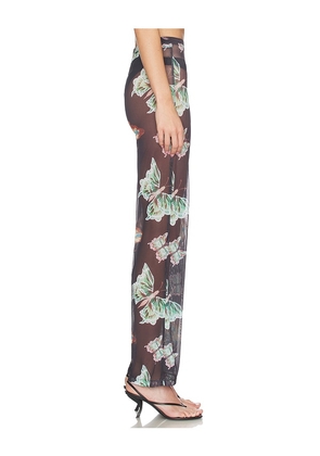 Juliet Johnstone Mesh Pant in Black. Size M. Also in XS, S, L, XL/1X.