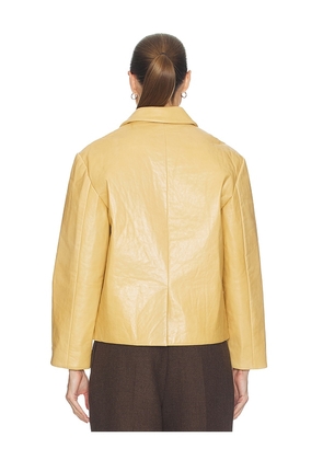 Helsa Puffy Leather Jacket in Mustard. Size L. Also in XXS, XS, S, M, XL.
