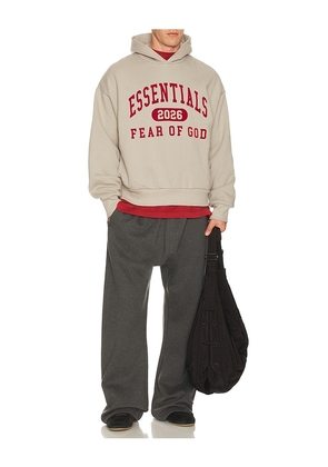 Fear of God ESSENTIALS Classic Hoodie in Grey. Size M. Also in XS, S, L, XL/1X.