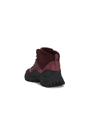 Hunter Jasper Boot in Wine. Size 7. Also in 6, 8.