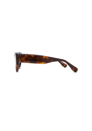 Jimmy Fairly The Giulia Sunglasses in Brown.