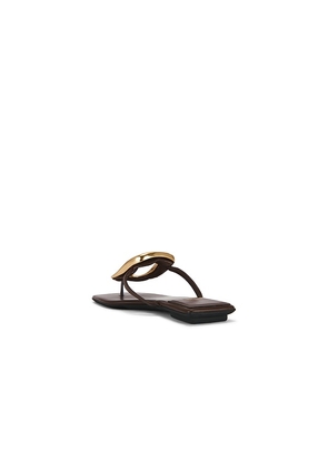 Jeffrey Campbell Linques 2 Sandal in Chocolate. Size 10. Also in 6, 6.5, 7, 8.