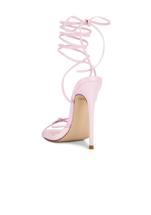 FEMME LA Athens Lace Up Heels in Pink. Size 10. Also in 5, 8.