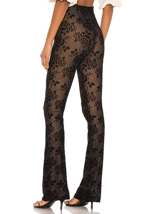 MAJORELLE Lars Pant in Black. Size M. Also in XXS, XS, S, L, XL.