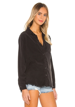Lauren Moshi Sloane Nailhead Skull Button Up Denim Shirt in Black. Size M. Also in XS, S.