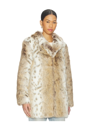 MAJORELLE Tatiana Faux Fur Coat in Beige. Size M. Also in XXS, XS, S.