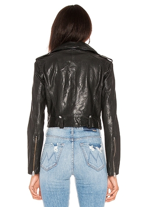LAMARQUE Ciara Jacket in Black. Size M. Also in L.