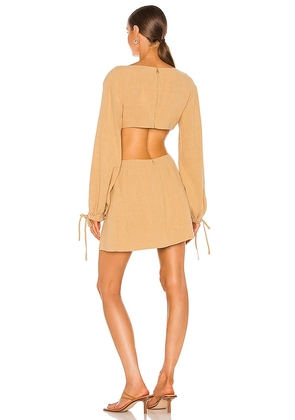 L'Academie Alora Dress in Tan. Size XL. Also in L.