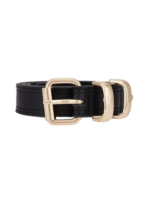 Lovestrength Classic Sage Belt in Black. Size M. Also in M/L, XL, L.