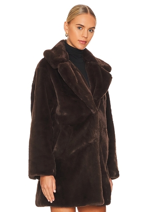 LAMARQUE Linnea Teddy Coat in Brown. Size XS. Also in S, M.