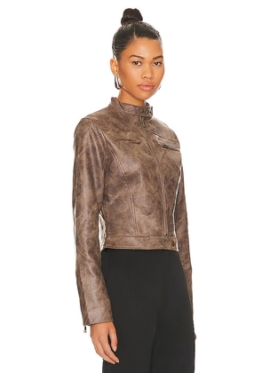 LIONESS Bella Moto Jacket in Chocolate. Size M. Also in XXS, XS, S, L, XL, XXL.