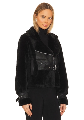 LAMARQUE Elody Jacket in Black. Size M. Also in XXS, XS, S, L, XL.