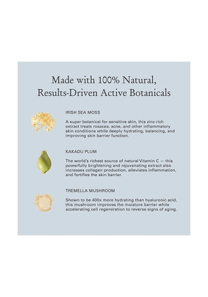 LESSE Essential Moisturizer in Beauty: NA.