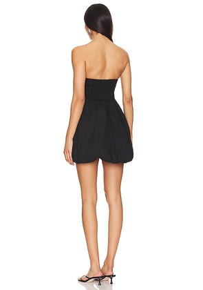 MORE TO COME Flynn Mini Dress in Black. Size M. Also in L.