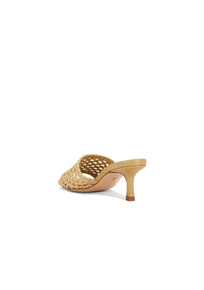 RAYE Samira Sandal in Neutral. Size 10. Also in 5.5, 6.5, 7, 7.5, 8, 9, 9.5.
