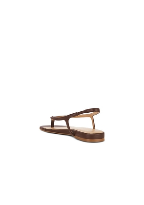 RAYE Ayla Sandal in Brown. Size 10. Also in 6, 6.5, 7, 7.5, 8, 8.5, 9.