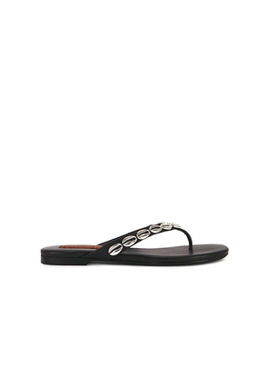 SIMONMILLER Riviera Thong Sandal in Black. Size 36. Also in 37, 38, 39, 40.