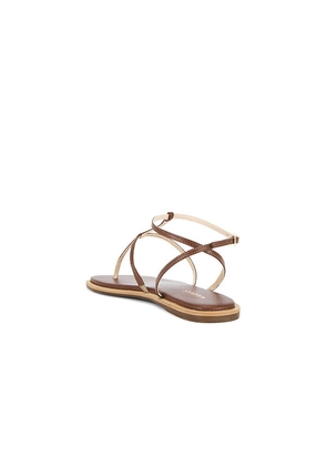 Kaanas Aisha Strappy Gladiator Sandal in Tan. Size 7. Also in 9.