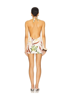 Montce Tropez Mini Dress in Cream. Size M. Also in XS, L, XL.
