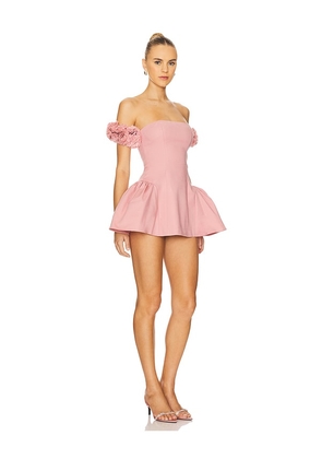 Nana Jacqueline Flora Dress in Blush. Size S. Also in M.
