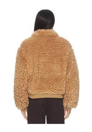 MORE TO COME Indira Teddy Jacket in Tan. Size M. Also in S, XXS, XS.