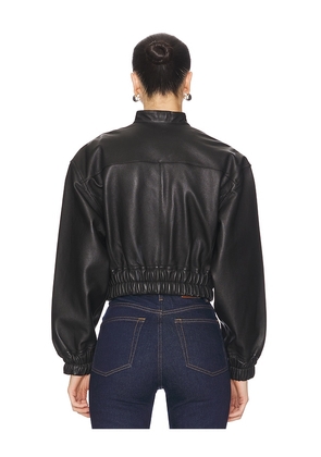 LAMARQUE Edith Jacket in Black. Size M. Also in S, XS, L, XL.