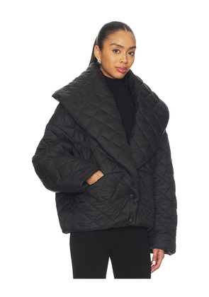 LAMARQUE Melissa Jacket in Black. Size L. Also in S, XS, M, XL, XXS.