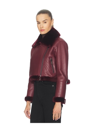 L'AGENCE Pike Crop Shearling Jacket in Wine. Size S. Also in XS.