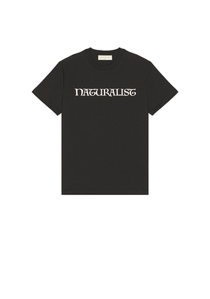 Museum of Peace and Quiet Naturalist T-Shirt in Black. Size M. Also in XS, S.