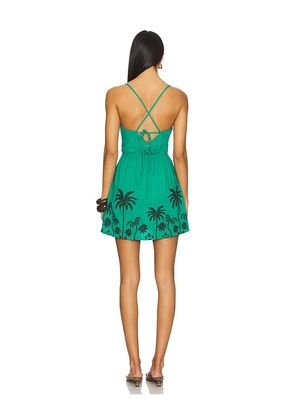 Maaji Tropical Parfait Mini Dress in Green. Size M. Also in L, S.